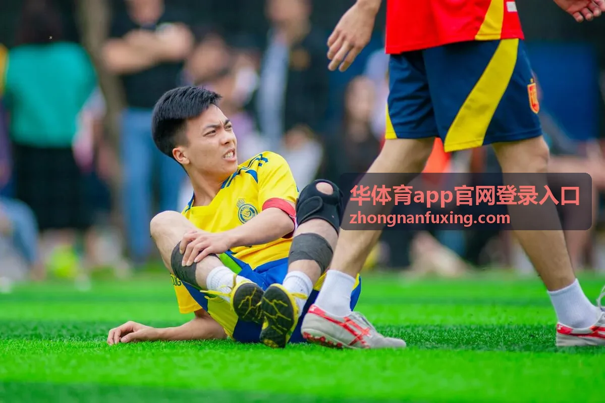 华体育app官网登录入口版本对照说明配图
