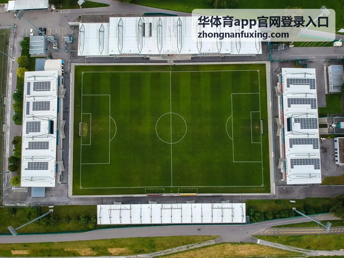 华体育app官网登录入口旧版本回退说明