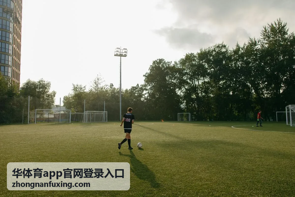 华体育app官网登录入口移动网络线路说明配图